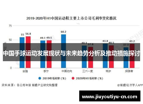 中国手球运动发展现状与未来趋势分析及推动措施探讨